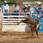 Warwick Rodeo Week