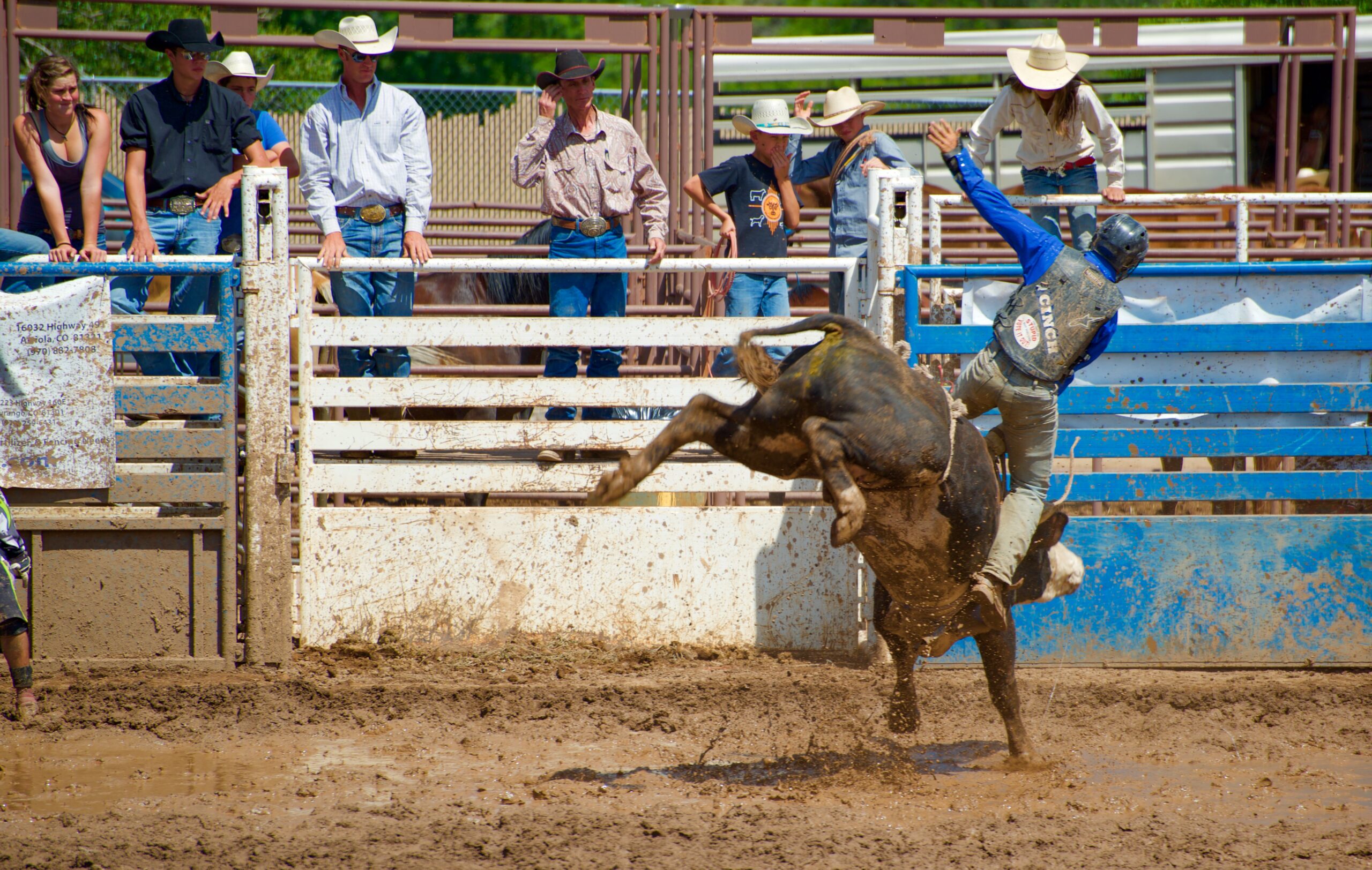 Warwick Rodeo Week