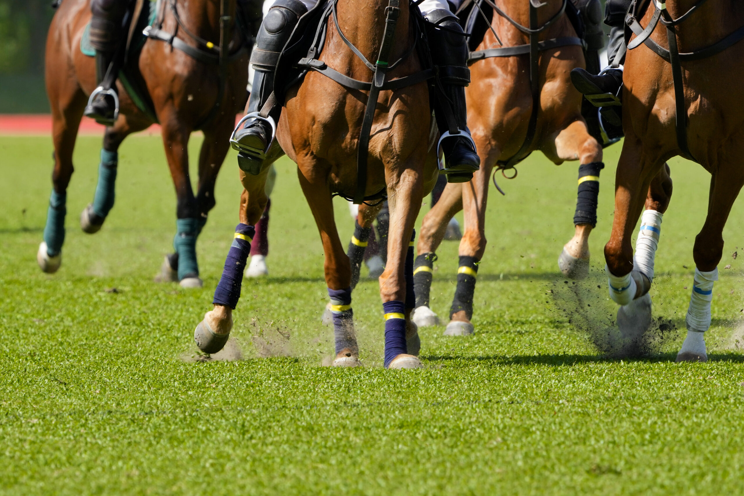 Boxing Day Races After Party